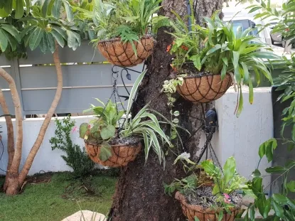 גינות לגלריה 39